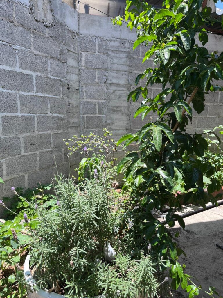 IMG-20260531-WA0031