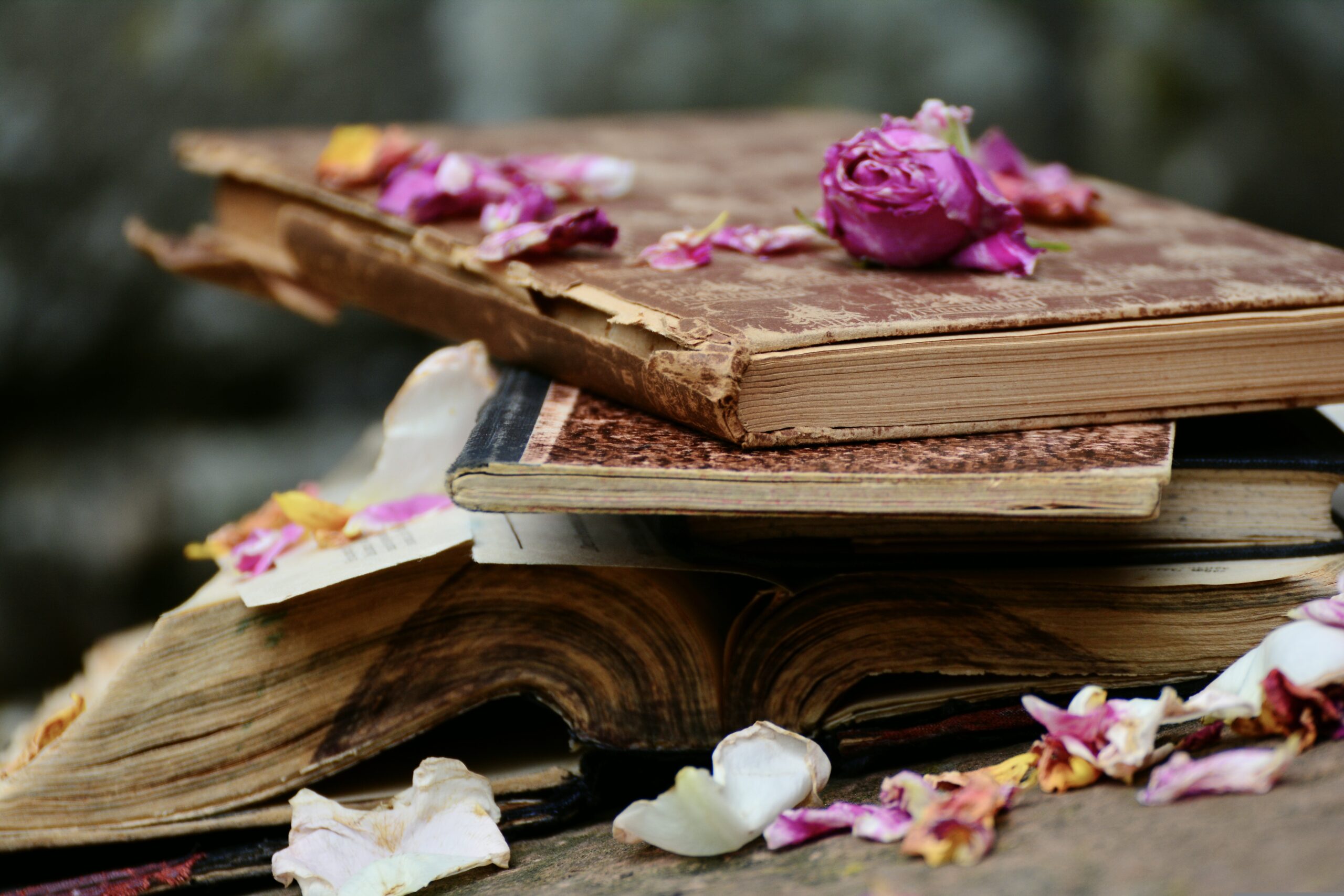Libros